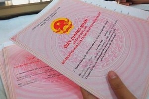 Ảnh Internet