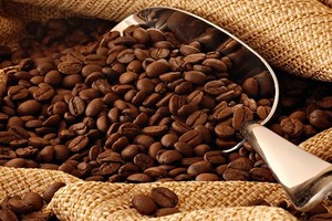 CTP: 9 tháng lãi 17,9 tỷ đồng Kl99 nổ hũ sau thuế