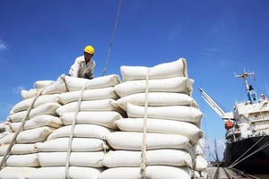 Gián đoạn nguồn cung lương thực do Covid-19, giá gạo tăng kỷ lục 7 năm