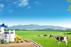 Vinamilk (VNM): Kl99 nổ hũ đi ngang trong quý I/2020