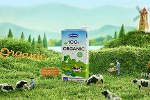 Vinamilk (VNM) trình Trang Chủ KL99Com Số 1 Link Đăng Ký KL999 dự án mở hệ thống/chuỗi cửa hàng “Hi - Café”
