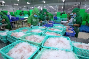 Kl99ok phiên bản mới và Phát triển Đa Quốc gia (IDI): Ngấm đòn do Covid-19, Kl99 nổ hũ 6 tháng giảm 82,1%