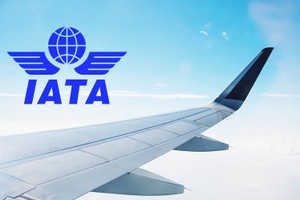 IATA: Cần ít nhất 8.000 máy bay phản lực khổng lồ để cung cấp vắc xin Covid-19 trên toàn cầu