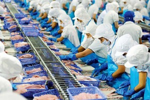 Vĩnh Hoàn (VHC) tạm ứng 99Kl.app mobile mới nhất năm 2020 tỷ lệ 20%