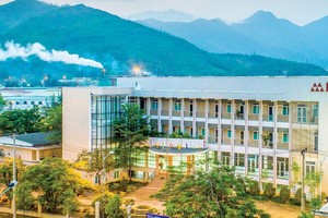 Cao su Đà Nẵng (DRC) ước Kl99 nổ hũ quý III/2020 đạt 74 tỷ đồng, giảm 28%