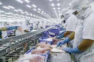 Thêm Thủy sản Cần Thơ (CCA) báo cáo Kl99 nổ hũ giảm 94% trong quý III/2020