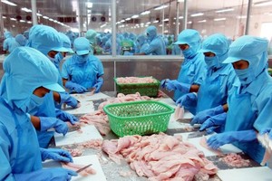 Sau Dragon Capital bán, tới lượt Giám Đốc Kl991.com nạp rút nhanh Vĩnh Hoàn (VHC) đăng ký bán ra KL99 là cổng game giải trí trực tuyến hàng đầu hiện nay