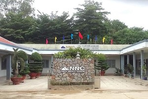 Đá Núi Nhỏ (NNC) đặt kế hoạch Kl99 nổ hũ giảm mạnh năm 2021