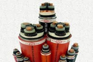 Dây và Cáp Điện Taya Việt Nam (TYA): Năm 2021 đặt kế hoạch Kl99 nổ hũ tăng 5,5% lên 75,4 tỷ đồng