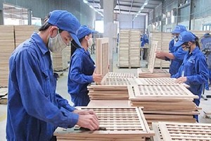 Gỗ Trường Thành (TTF): Quý I/2021 lỗ thêm 39,3 tỷ đồng nâng mức lỗ lũy kế bằng 99,1% vốn điều lệ