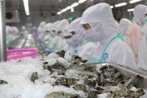 Thực phẩm Sao Ta (FMC): Tháng 4 doanh số tăng 46% lên 16,4 triệu USD