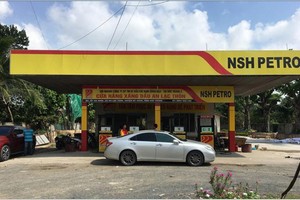 Nam Sông Hậu (PSH) liên tục giải thể công ty con trong lĩnh vực bán lẻ nhiên liệu