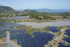 Bà Trần Huyền Trang trở thành Phó Tổng Giám đốc của Trường Thành Group (TTA) 