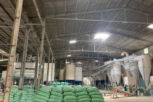 Angimex (AGM): Sau hơn 3 tháng giữ chức Tổng giám đốc, ông Vũ Tiến Hùng xin từ nhiệm
