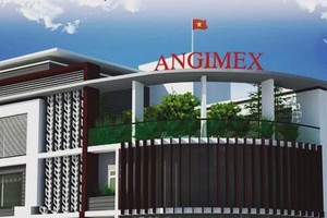 Angimex (AGM) bán 49% vốn tại công ty con hoạt động trong lĩnh vực bán mô tô, xe máy cho Louis Capital (TGG)
