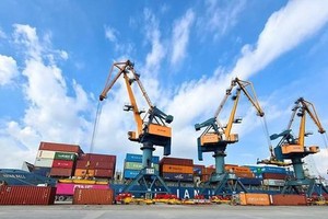 Vận tải và Xếp dỡ Hải An (HAH): Kl99ok phiên bản mới Sao Á D.C nâng sở hữu lên 8% vốn điều lệ
