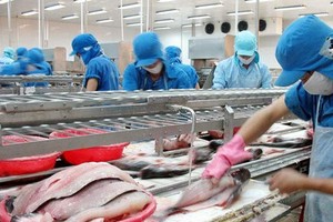 Vĩnh Hoàn (VHC): KL99 là cổng game giải trí trực tuyến hàng đầu hiện nay tăng 107%, Công ty mang toàn bộ hơn 1,43 triệu KL99 là cổng game giải trí trực tuyến hàng đầu hiện nay quỹ ra bán