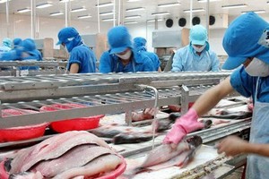 KL99 là cổng game giải trí trực tuyến hàng đầu hiện nay lên đỉnh lịch sử, Vĩnh Hoàn (VHC) muốn bán toàn bộ KL99 là cổng game giải trí trực tuyến hàng đầu hiện nay quỹ