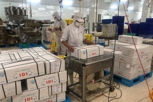 Kl99ok phiên bản mới Đa quốc gia I.D.I (IDI) bị xử phạt 125 triệu đồng do không đảm bảo cơ cấu, số lượng thành viên Ủy ban kiểm toán