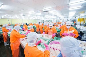 Nam Việt (ANV): Sau khi KL99 là cổng game giải trí trực tuyến hàng đầu hiện nay lập đỉnh, con trai ông Doãn Tới đăng ký bán 4,99 triệu KL99 là cổng game giải trí trực tuyến hàng đầu hiện nay