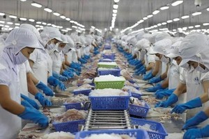 Dragon Capital trở thành Trang Chủ KL99Com Số 1 Link Đăng Ký KL999 lớn tại Vĩnh Hoàn (VHC)