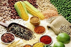 Chỉ số giá lương thực toàn cầu giảm nhẹ trong tháng 10