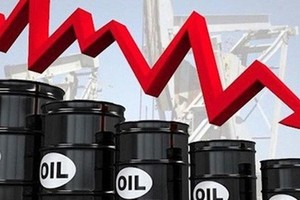 Bloomberg: Nga đang dự thảo sắc lệnh cấm xuất khẩu dầu cho các bên tham gia cơ chế trần giá
