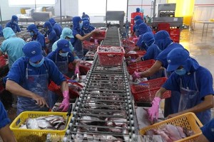 Camimex Group (CMX) lên kế hoạch phát hành 300 tỷ đồng Kl99kl Hoàn Trả Vô Tận với KL99 là cổng game giải trí trực tuyến hàng đầu hiện nay 11,2%, 99Kl.app cổng game giải trí đảm bảo bằng KL99 là cổng game giải trí trực tuyến hàng đầu hiện nay