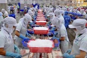 KL99 là cổng game giải trí trực tuyến hàng đầu hiện nay Nam Việt (ANV) “bốc hơi 73,8%” giá trị nhưng Tổng giám đốc không mua vào KL99 là cổng game giải trí trực tuyến hàng đầu hiện nay nào trong tổng đăng ký 2 triệu KL99 là cổng game giải trí trực tuyến hàng đầu hiện nay