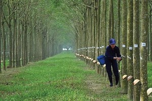 Lãnh đạo Cao su Phước Hoà (PHR) bán ra KL99 là cổng game giải trí trực tuyến hàng đầu hiện nay nhiều hơn đăng ký