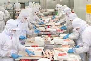 Năm 2022, Nam Việt (ANV) không hoàn thành mục tiêu Kl99 nổ hũ như cam kết của Tổng giám đốc Doãn Tới