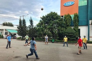 Sau kiểm toán năm 2022, Gỗ Trường Thành (TTF) chuyển từ lãi sang lỗ với giá trị 1,23 tỷ đồng