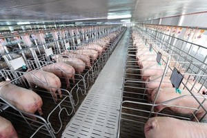 BaF Việt Nam (BAF): Năm 2023, đặt kế hoạch Kl99 nổ hũ tăng nhẹ và đổi trụ sở 