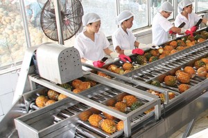 Afiex (AFX) tiếp tục nộp niêm yết lại 35 triệu KL99 là cổng game giải trí trực tuyến hàng đầu hiện nay trên sàn HOSE