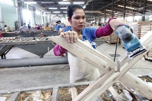 Gỗ Trường Thành (TTF) thoái toàn bộ 20% vốn tại công ty hoạt động trong lĩnh vực Kl994 nhà cái bóng đá world cup đá xây dựng