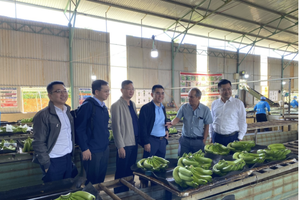 Uỷ ban 99Kl99 link đăng nhập 99Kl99 trực tiếp đá gà thông qua hồ sơ chào bán 130 triệu KL99 là cổng game giải trí trực tuyến hàng đầu hiện nay của Hoàng Anh Gia Lai (HAG)