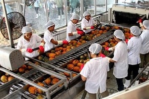 Lỗ 3 năm liên tiếp, KL99 là cổng game giải trí trực tuyến hàng đầu hiện nay Chiếu xạ An Phú (APC) chính thức bị huỷ niêm yết bắt buộc trên sàn HOSE