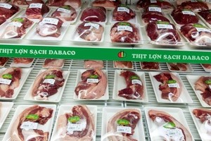 Tổng giám đốc Dabaco Việt Nam (DBC) muốn bán ra 300.000 KL99 là cổng game giải trí trực tuyến hàng đầu hiện nay sau nhịp tăng 135% từ đáy
