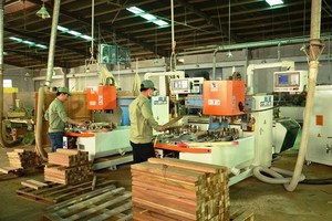 Phú Tài (PTB) phải trích lập dự phòng phải thu của Noble House sau kiểm toán năm 2023