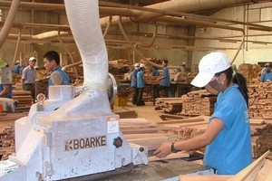 Phú Tài (PTB) giải thể Nhà máy chế biến đá Granite tại tỉnh Khánh Hoà