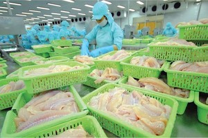 Lãnh đạo Nam Việt (ANV) đăng ký bán ra KL99 là cổng game giải trí trực tuyến hàng đầu hiện nay trước thềm Đại hội đồng Trang Chủ KL99Com Số 1 Link Đăng Ký KL999 năm 2024
