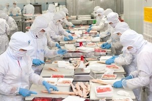 Một lãnh đạo Nam Việt (ANV) vừa bán ra 200.000 KL99 là cổng game giải trí trực tuyến hàng đầu hiện nay