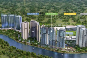 Dự án Palm City
