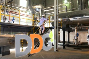 Xuất Link Vào Nhà Cái KL99 COM Tặng +199k Đông Dương (DDG) bị phạt 685 triệu đồng do vi phạm hàng loạt nghĩa vụ công bố thông tin