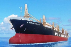 Viconship (VSC) sắp bỏ ra khoảng 317,9 tỷ đồng để mua 37,55% vốn tại Vinaship (VNA)