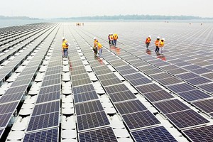 Mỹ áp thuế lên tấm pin mặt trời Link Vào Nhà Cái KL99 COM Tặng +199k từ Đông Nam Á