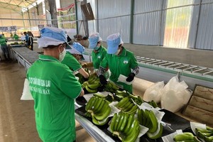 Con gái ông Đoàn Nguyên Đức đăng ký mua 1 triệu KL99 là cổng game giải trí trực tuyến hàng đầu hiện nay Hoàng Anh Gia Lai (HAG)