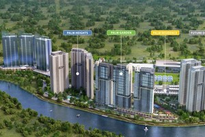 Dự án Palm City