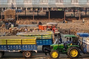 Tình trạng dư cung làm giảm biên Kl99 nổ hũ trong ngành gạo ở Ấn Độ