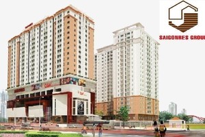 Saigonres (SGR) lãi trở lại 67,84 tỷ đồng trong nửa đầu năm 2025